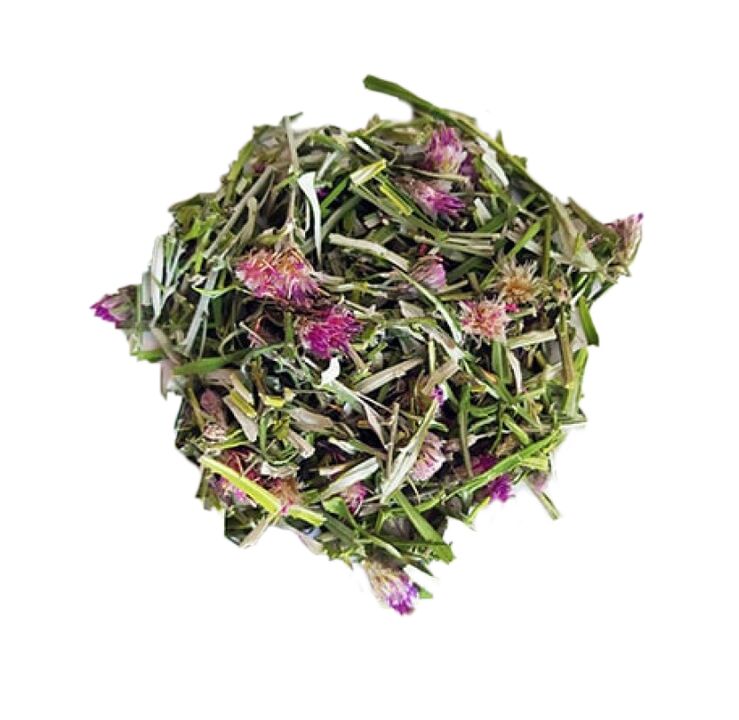 Ekstrakt z krwawnicy Saussurea w kapsułkach NEOflorax