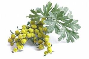 ekstrakt z piołunu w NEOflorax